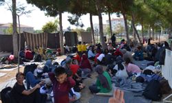 Didim'de umuda yolculuk kamyon kasasında bitti