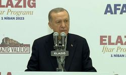 Cumhurbaşkanı Erdoğan'dan öneli açıklamalar