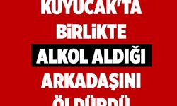 Kuyucak'ta birlikte alkol aldığı arkadaşını öldürdü 