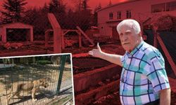 Mahallelinin uykularını kaçırıyordu... Ankara'daki hayvanat bahçesi yıkıldı