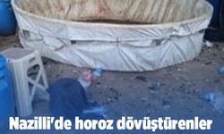 Nazilli'de horoz dövüştürenler suçüstü yakalandı