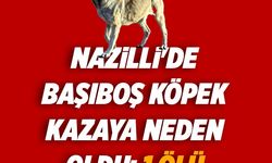 Nazilli'de başıboş köpek kazaya neden oldu: 1 ölü