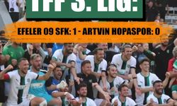 TFF 3. Lig: Efeler 09 SFK: 1 - Artvin Hopaspor: 0