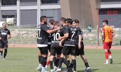 TFF 3. Lig: Niğde Anadolu FK: 1 - Efeler 09 SFK: 6