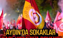 Aydın'da sokaklar sarı-kırmızıya boyandı
