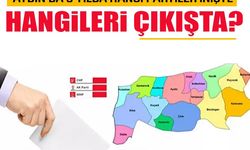 Aydın'da 5 yılda hangi partiler inişte, hangileri çıkışta?