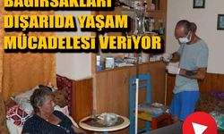 Kuşadası'nda bağırsakları dışarıda yaşam mücadelesi veriyor