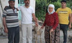 Aydın Ülkü Ocakları bu bayramda da şehit ailelerini unutmadı