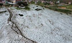Aniden bastırdı, 20 dakikada her yer bembeyaz oldu