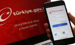Son Dakika: e-Devlet verileri çalındı! TC kimlik numaraları bile gözüküyor...