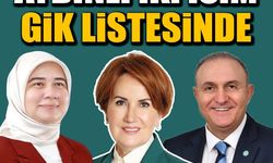 Aydınlı isimler Meral Akşener'in GİK listesinde