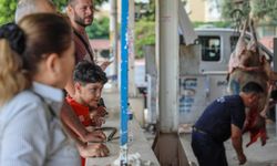 Bir kurbanlıkta en fazla kaç hisse bulunur?