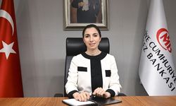 Merkez Bankası Başkanı Erkan'dan OVP değerlendirmesi