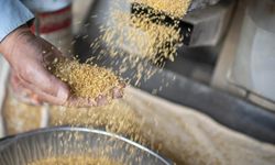 Üreticiler buğday ve arpada daha fazla alım yapılmasını istiyor