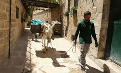 Mardin'de Çöp Toplayan Kadrolu Eşekler Yaz Mesaisine Geçti