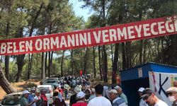 Akbelen Ormanı'nda dört yıldır direnenler anlatıyor: "Bir tek ağacı bile kaybetmemeliyiz"