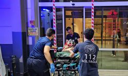 Bozdoğan'dan acı haber geldi! Kanala düşen anne ve kızı öldü