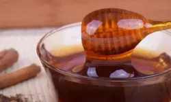 Balın kilogram maliyeti belirlendi