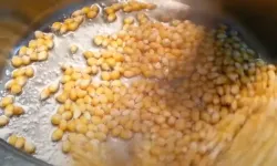 Patlamış mısıra lezzet katan sır! Çıtır çıtır oluyor ve patlamayan tane kalmıyor…