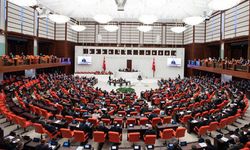 Hükümlülere 5 yıl erken denetimli serbestlik