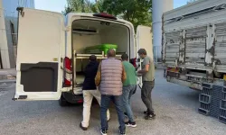 Kabus o ilde aynı günde 2 can aldı!