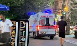 Bir kafeteryada oturan 4 kişinin üzerine ağaç devrildi