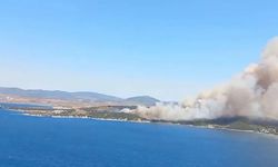 İzmir'in iki ilçesinde orman yangını meydana geldi