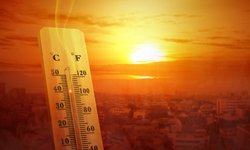 Dünya Meteoroloji Örgütü: Daha yoğun sıcaklık dalgalarına hazır olmalıyız