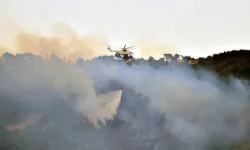 Adalet Bakanı Yılmaz Tunç: Yangınlarla ilgili 7 şüpheliden 2'si tutuklandı