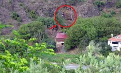 Bolu'daki kazı artık daha da gizemli! Yayın yasağı geldi