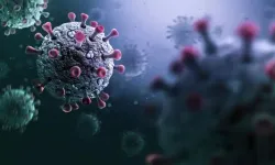 DSÖ’den 'Eris’ uyarısı: Daha Bulaşıcı ve Şiddetli