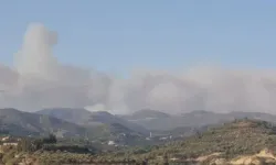 Hatay’da orman yangını