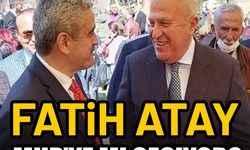 CHP’li Fatih Atay, MHP'ye mi geçiyor?