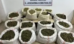 Bingöl'de uyuşturucu operasyonu