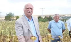TZOB Başkanı Bayraktar: Yabancı tohum üreticiyi perişan etti