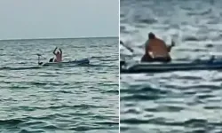 Şile'de deniz ortasında bir kadını feci şekilde darbetmişti! Saldırgan yakalandı