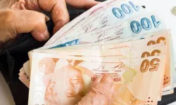 Ünlü Ekonomi Profesörü Rakam Verdi! Elindeki TL'yi Korumak İsteyenler Bankalardan Bu Faiz Oranını İstesin...