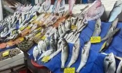 Yasak kalktı, balıklar ağa düştü! Tezgahlar doldu taştı