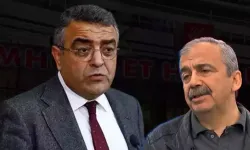 YSP'li Sırrı Süreyya Önder'den CHP'li Sezgin Tanrıkulu'na destek: Kardeşimizdir