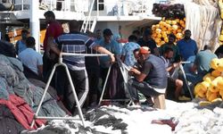 Balık fiyatları halde 20 lira tezgahta 100 lira! 5 katı fark balıkçıları isyan ettirdi: Fiyatları düşürün...