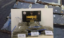 Düzce'de 46 kilogram uyuşturucu ele geçirildi