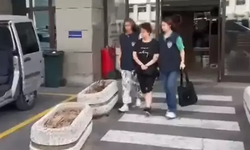 'Türkiye’de başıboş köpek değil başıboş çocuk sorunu var' demişti! Tepki çeken sözler sonrası gözaltı