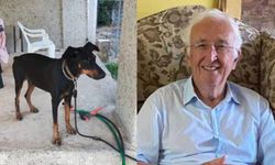 Köpeği Tina geri dönmüştü: Korhan Berzeg'in kaybolmasıyla ilgili üç senaryo