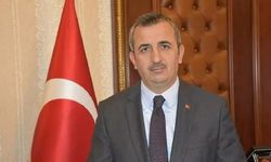 Edirne Valisi: Başıboş Köpeklere Tolerans Yok!