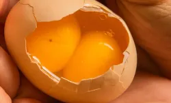Yumurta pişirirken sarısındaki lekelere dikkat edin... Peki üzerinde kahverengi yada kırmızı leke olan yumurta yenir mi?