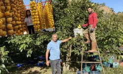 Rusya’nın taleplerine yetişemiyorlar! Manisa’dan dünyaya yayılan sağlık deposu: Yaşı 15, kurusu 200 lira…
