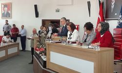 Aydın Büyükşehir Belediyesi mezarlık sorununu çözüyor