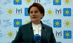 İYİ Parti'de istifa dalgası büyüyor: Bir isim daha görevinden ayrıldı