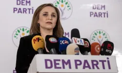 DEM Parti 7 ilde kendi adaylarıyla seçime girecek