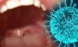 Araştırmacılar insanın ağzında keşfetti! Gizlendi ve daha önce görülmedi